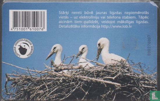 Stork - Bild 2
