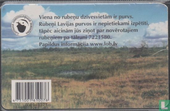 Rubenis - Afbeelding 2