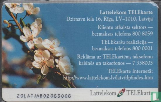 Spring Flowers - Image 2