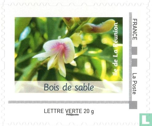 Inheemse planten van Réunion