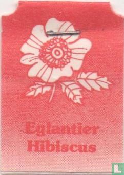 Eglantier Hibiscus - Image 3