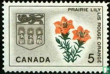 Saskatchewan - Prairie Lily