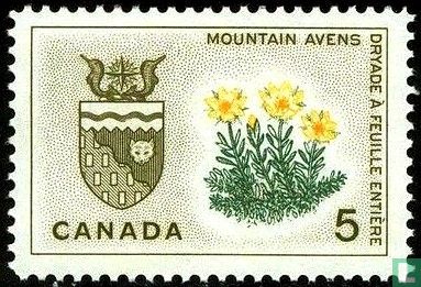 Northwest Territories - Mountain Avens