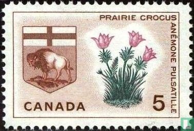 Manitoba - Prairie Crocus