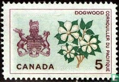 British Columbia - Pacific Dogwood