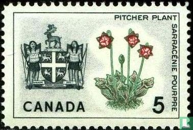 Newfoundland - Pitcher Plant