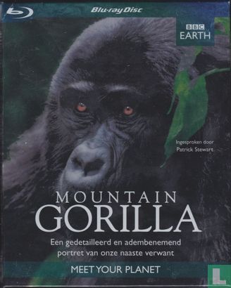 Mountain Gorilla - Een gedetailleerd en adembenemend portret van onze naaste verwant - Bild 1