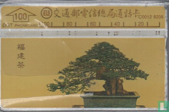 Bonsai tree - Bild 1