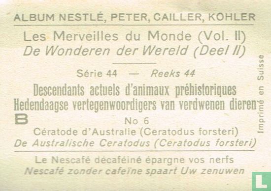 De Australische Ceratodus (Ceratodus forsteri) - Afbeelding 2