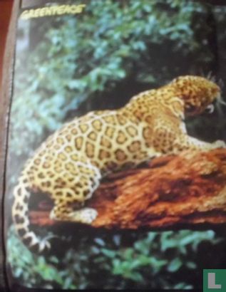 Jaguars - Bild 1