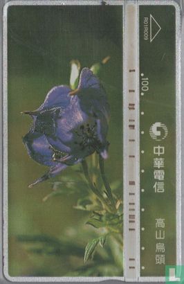 Flowers - Image 1
