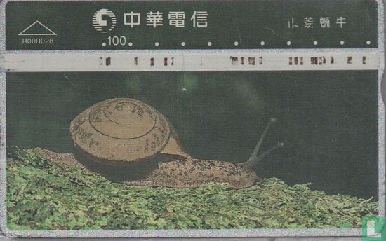 Snail - Afbeelding 1