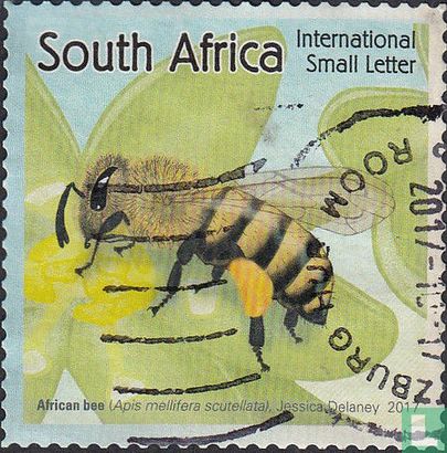 Bijen voor Afrika