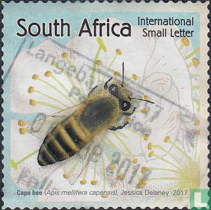 Bees for Africa