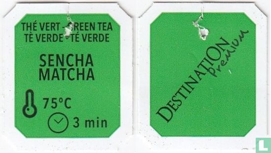 Sencha Matcha - Afbeelding 3