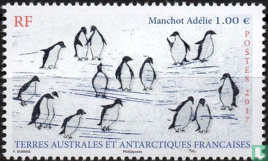 Pinguïns op ijs