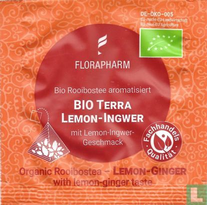 Bio Terra Lemon-Ingwer - Bild 1
