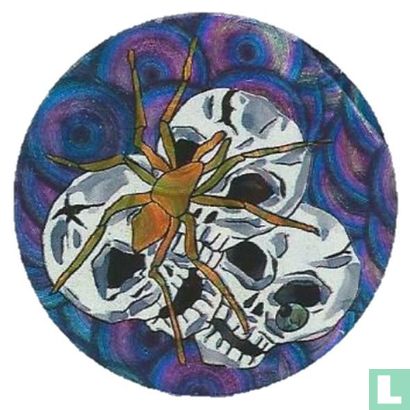 Schädel mit Spinne - Bild 1