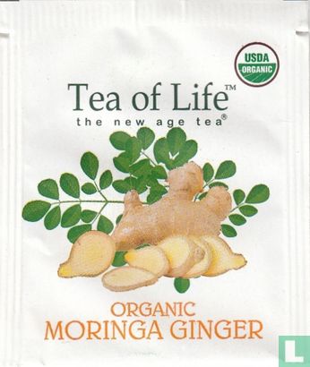 Moringa Ginger - Bild 1