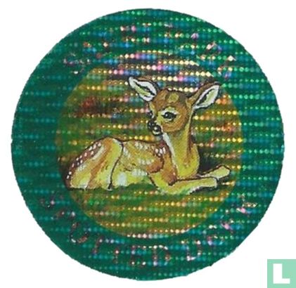 Spotted Deer - Image 1