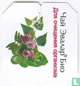 Herbal Tea   - Image 3