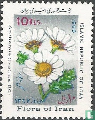 Flore d'Iran