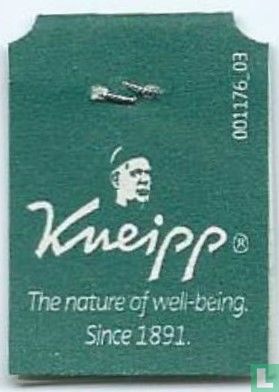 The Nature of Well-being. Since 1891. - Bild 2