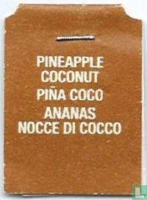 Ananas Noix de Coco Ananas Kokosnoot - Image 2