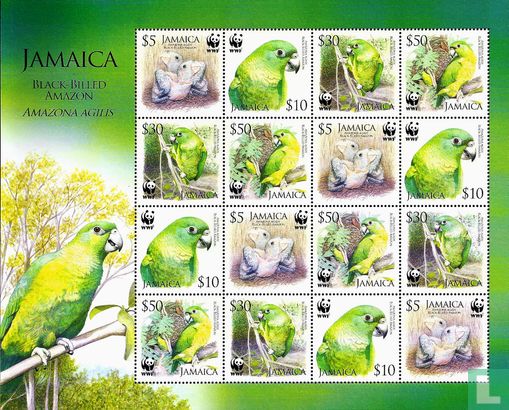 WWF - Jamaica-amazone papegaai