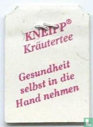 Schutzmarke Kneipp-Werke seit 1891 / Kräutertee Gesundheit selbst in die Hand nehmen - Image 2