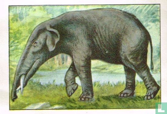 Mastodon - Afbeelding 1