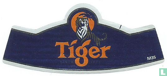 Tiger Asian Lager  - Afbeelding 3
