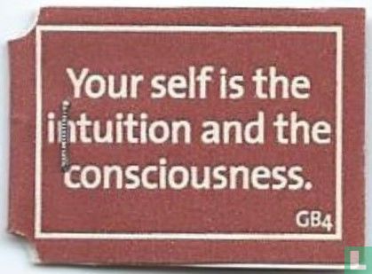 Your self is the intuition and the consciousness. - Afbeelding 1