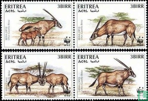 East Afrikan Oryx