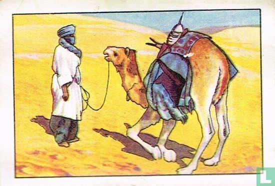 Het opstaan van een kameel - Afbeelding 1