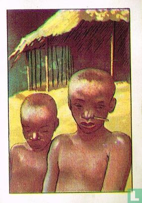IJdelheid bij de Pygmeeën: een doorboorde neus - Afbeelding 1