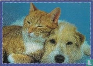 Dieren: Kat en Hond