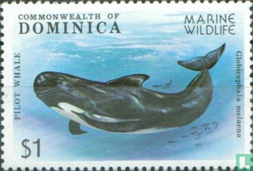 Animaux marins