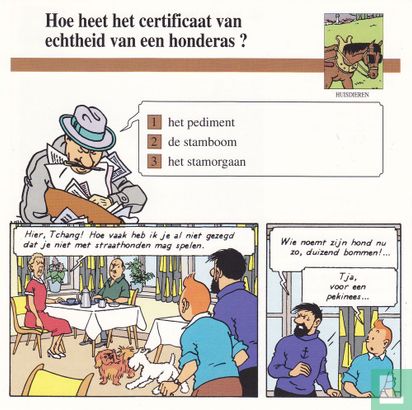 Huisdieren: Hoe heet certificaat van echtheid van een hondenras? - Afbeelding 1