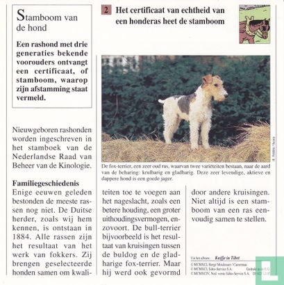 Huisdieren: Hoe heet certificaat van echtheid van een hondenras? - Image 2