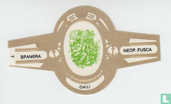 Chili - Neop. Fusca - Afbeelding 1