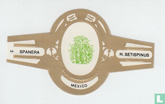 Mexico - H. Setispinus - Afbeelding 1