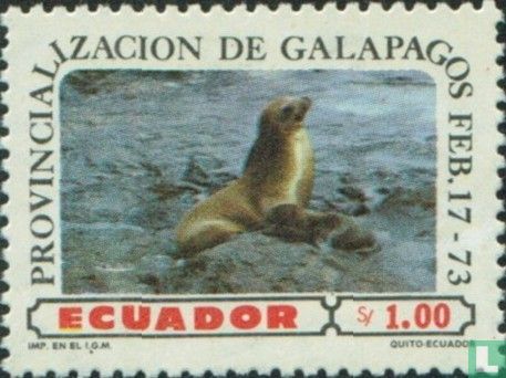 Arctocéphale des Galapagos