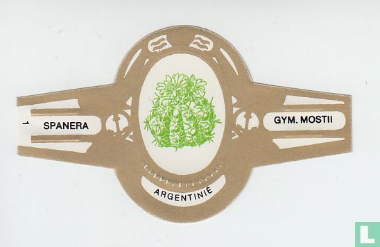 Argentinië - Gym. Mostii - Afbeelding 1