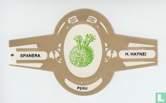 Peru - H. Haynei - Afbeelding 1