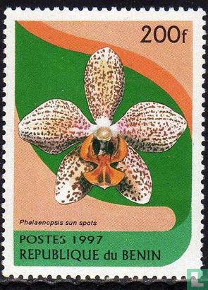 Orchidées