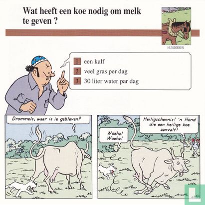 Huisdieren: Wat heeft een koe nodig om melk te geven? - Afbeelding 1