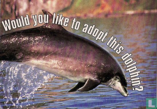 WDCS "Would you like to adopt this dolphin?" - Afbeelding 1