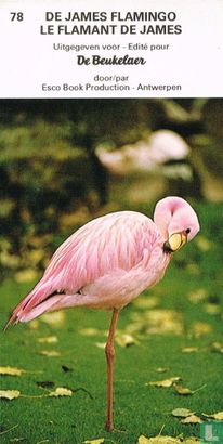 De James flamingo - Afbeelding 1