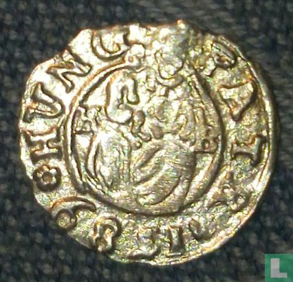 Hungary  1 denar  1589 - Image 1